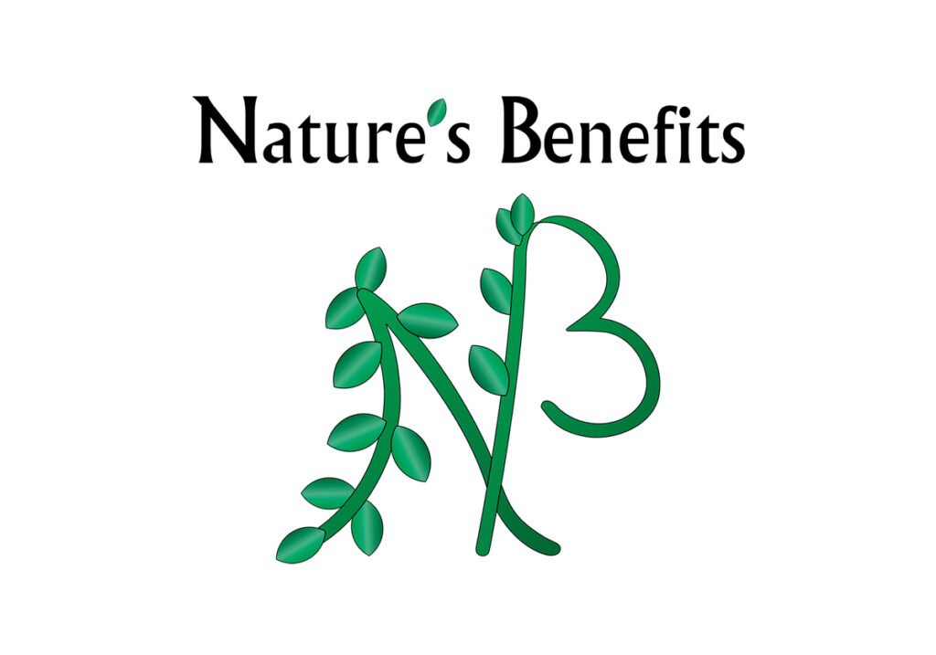 proiecte projects logo design nature's benefits graphic design conceptie grafica